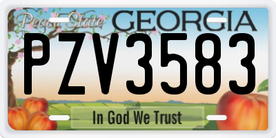 GA license plate PZV3583
