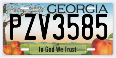 GA license plate PZV3585