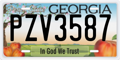 GA license plate PZV3587