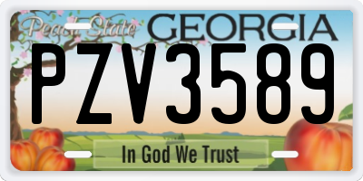 GA license plate PZV3589