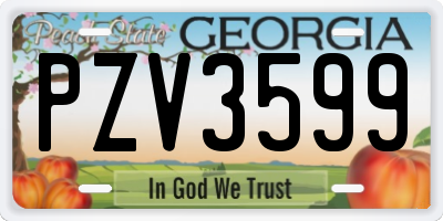 GA license plate PZV3599