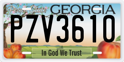 GA license plate PZV3610