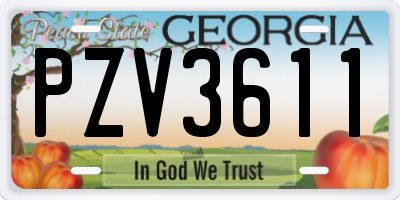 GA license plate PZV3611