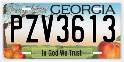 GA license plate PZV3613