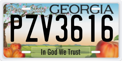 GA license plate PZV3616