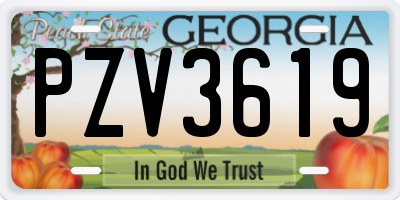 GA license plate PZV3619