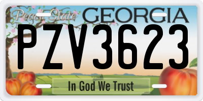 GA license plate PZV3623