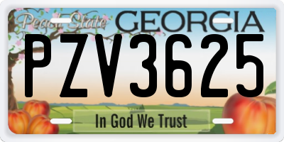 GA license plate PZV3625