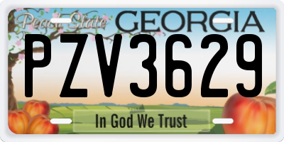 GA license plate PZV3629