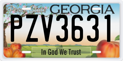GA license plate PZV3631