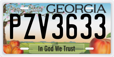 GA license plate PZV3633