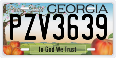 GA license plate PZV3639