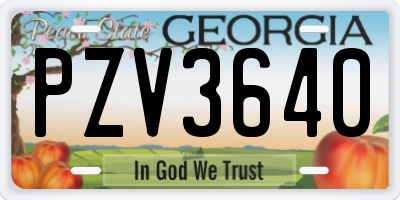 GA license plate PZV3640