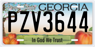 GA license plate PZV3644