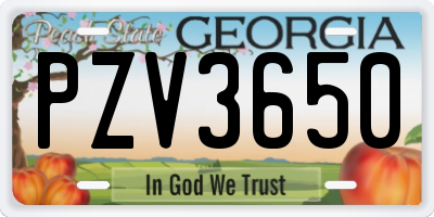 GA license plate PZV3650