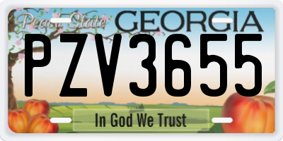 GA license plate PZV3655