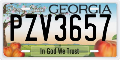 GA license plate PZV3657