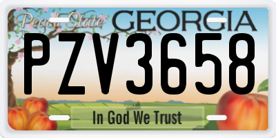 GA license plate PZV3658