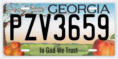 GA license plate PZV3659