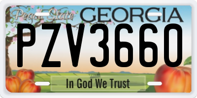 GA license plate PZV3660