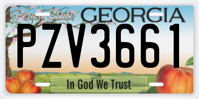 GA license plate PZV3661
