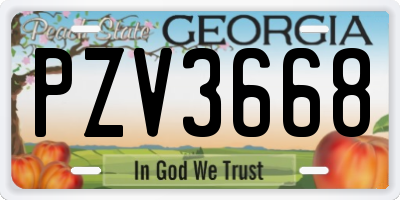 GA license plate PZV3668