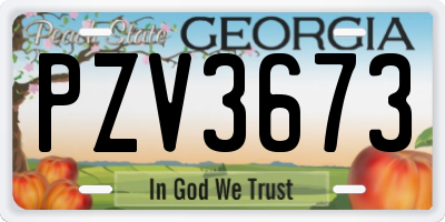 GA license plate PZV3673