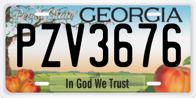 GA license plate PZV3676