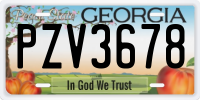 GA license plate PZV3678
