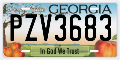 GA license plate PZV3683