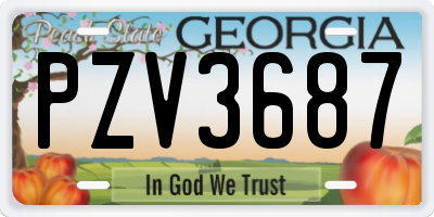 GA license plate PZV3687