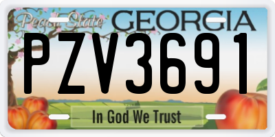 GA license plate PZV3691