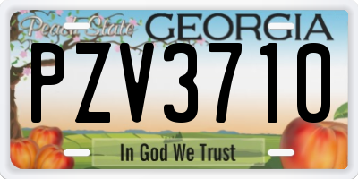 GA license plate PZV3710