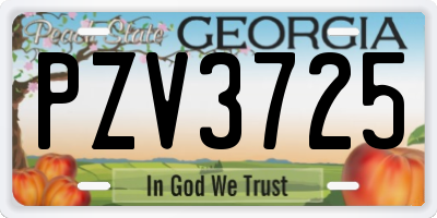 GA license plate PZV3725