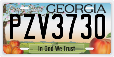 GA license plate PZV3730