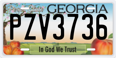 GA license plate PZV3736