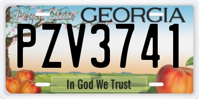 GA license plate PZV3741