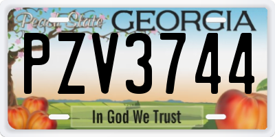 GA license plate PZV3744