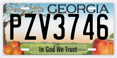 GA license plate PZV3746