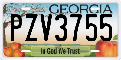 GA license plate PZV3755