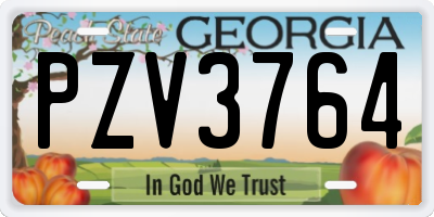 GA license plate PZV3764