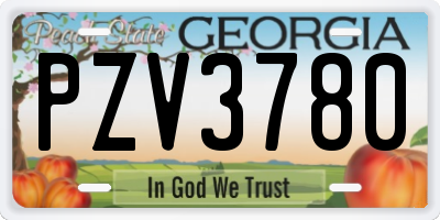 GA license plate PZV3780