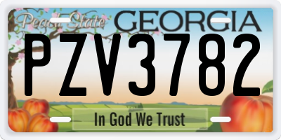 GA license plate PZV3782