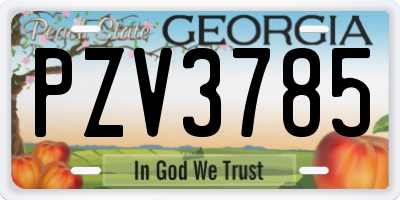 GA license plate PZV3785
