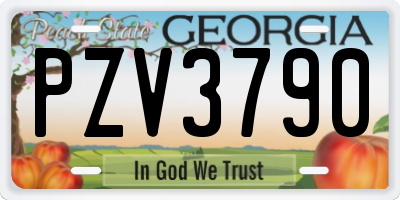 GA license plate PZV3790