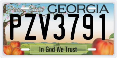 GA license plate PZV3791
