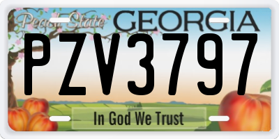GA license plate PZV3797