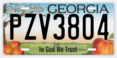 GA license plate PZV3804