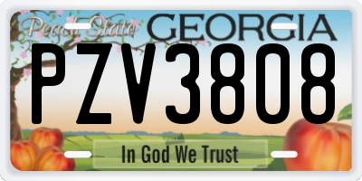 GA license plate PZV3808