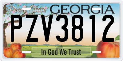 GA license plate PZV3812